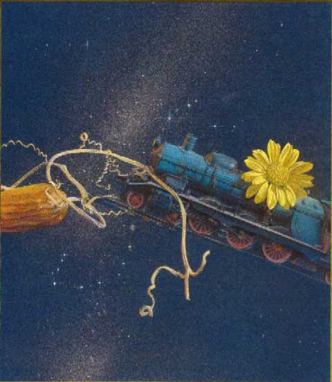 からす瓜と小菊と汽車 『銀河鉄道の夜』より